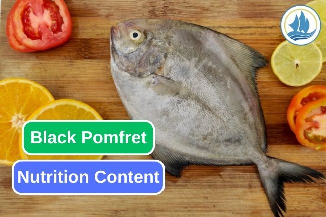 8 Essential Nutrition Content in Black Pomfret 